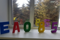 IMG-20190217-WA0046