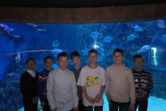 IMG-20181227-WA0008