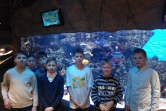IMG-20181227-WA0021