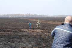 Копия DSC_0070