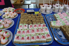 DSC06079